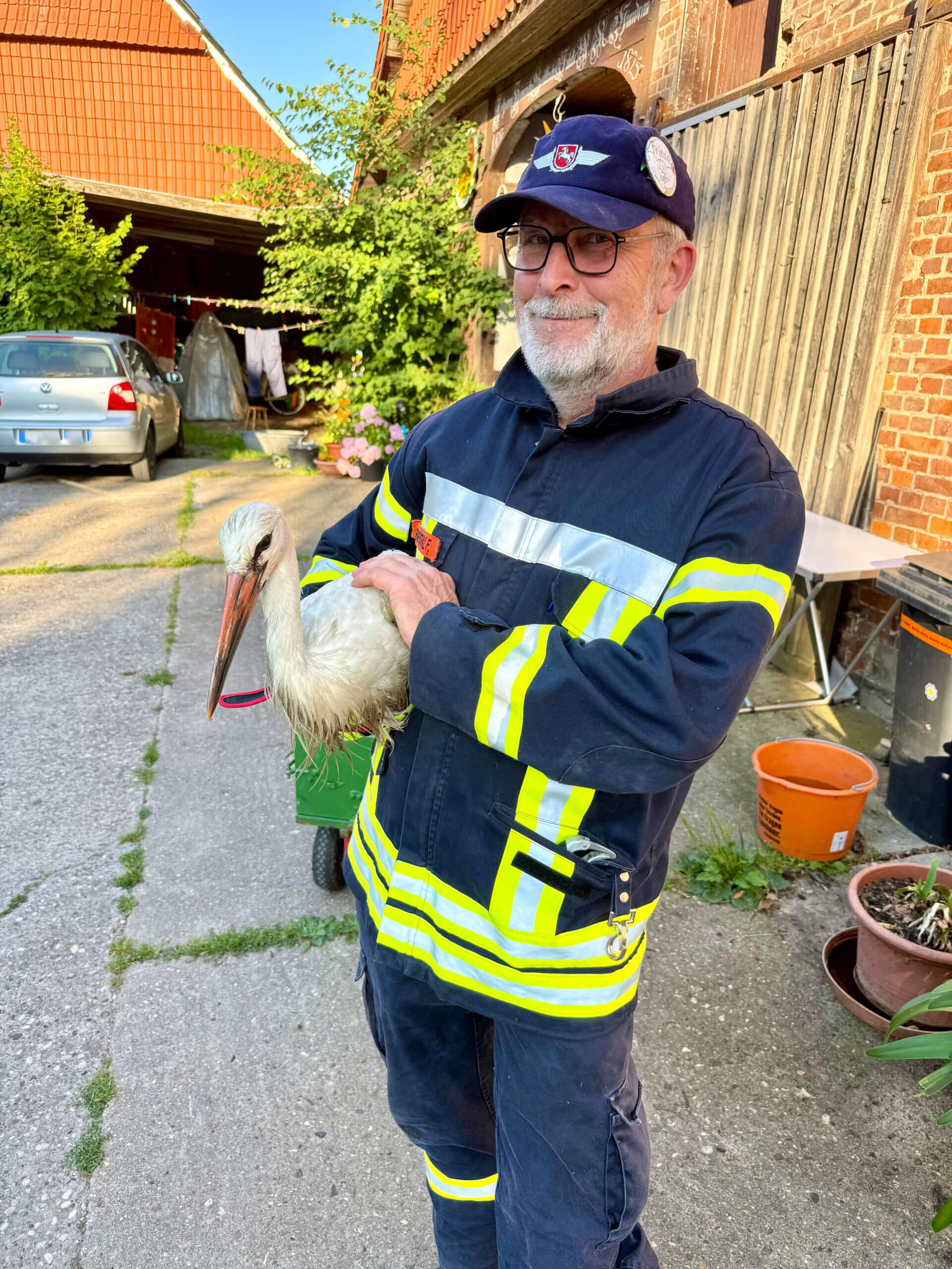 Jungstorch zurück ins Nest gebracht